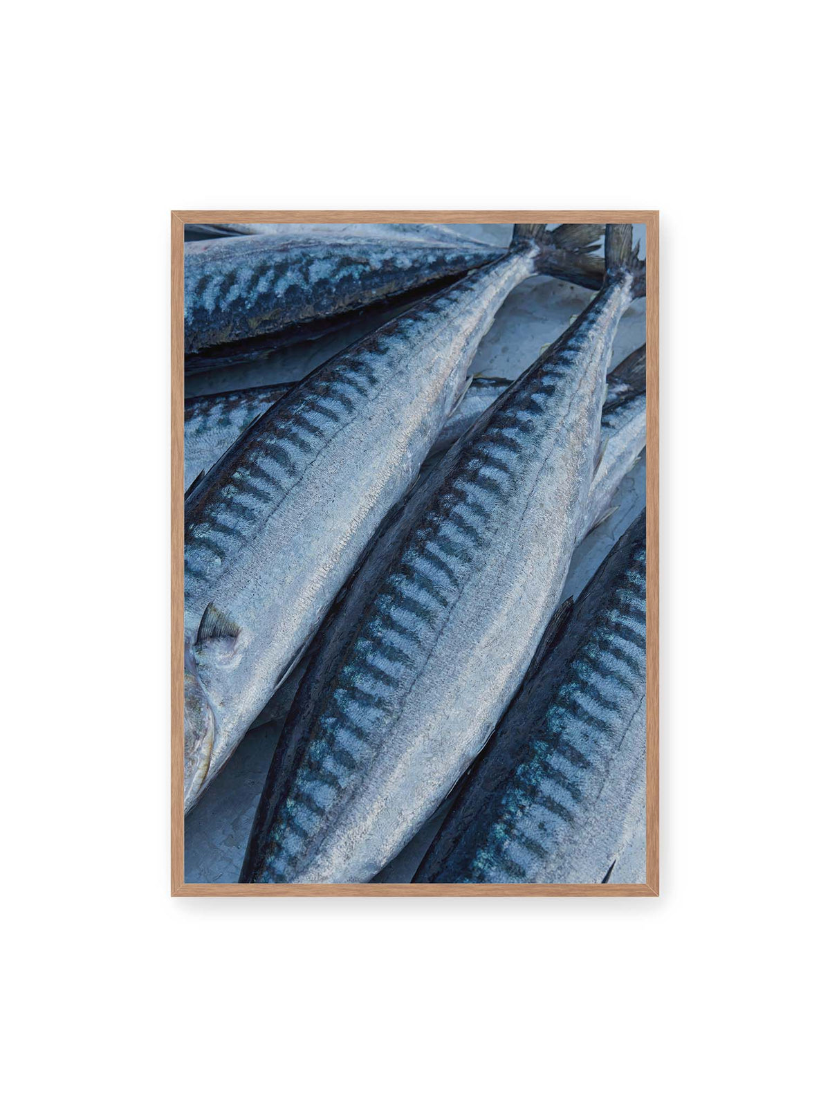 70x100 cm, Eichenrahmen – Nahaufnahme mehrerer silbrig blauer Fische mit dunkler Zeichnung und schimmernden Schuppen.