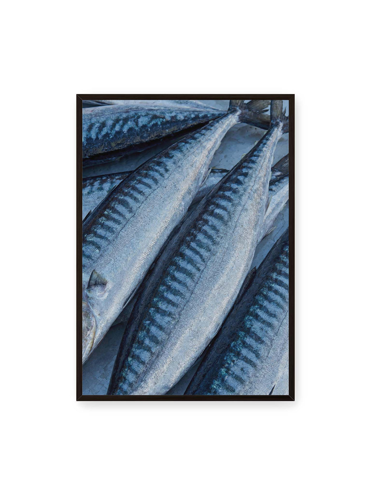 70x100 cm, schwarzer Rahmen – Nahaufnahme mehrerer silbrig blauer Fische mit dunkler Zeichnung und schimmernden Schuppen.