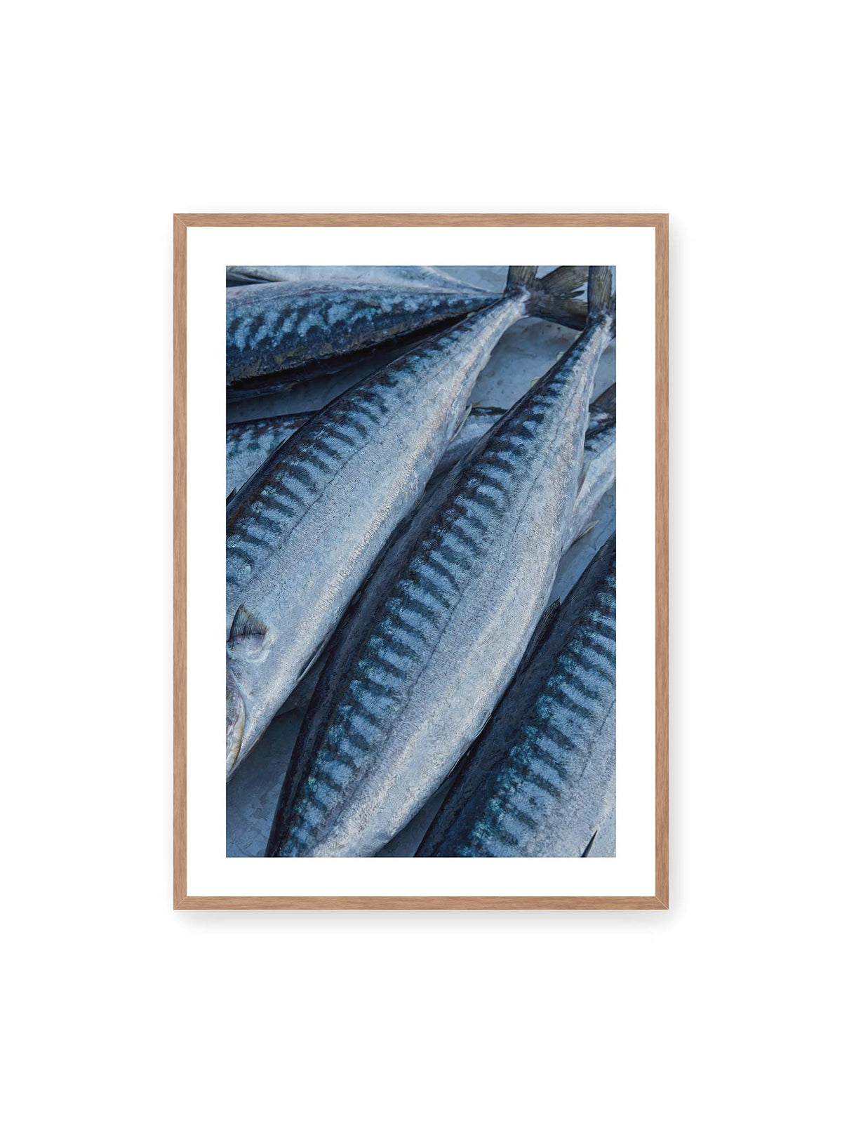70x100 cm, weißer Galerie-Rand, Eichenrahmen – Nahaufnahme mehrerer silbrig blauer Fische mit dunkler Zeichnung und schimmernden Schuppen.