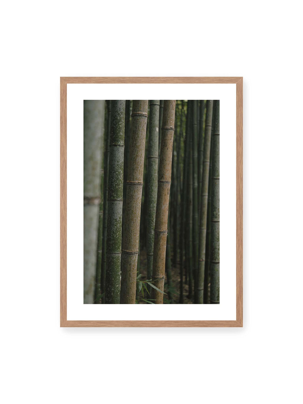 Whispering Bamboo