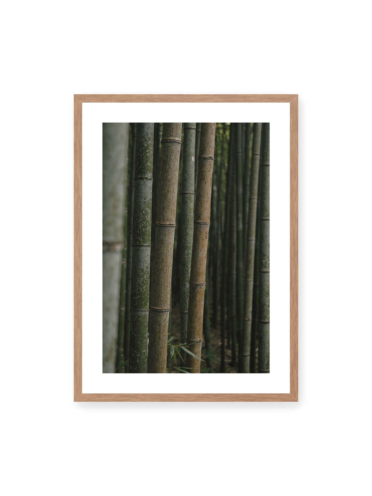 Whispering Bamboo