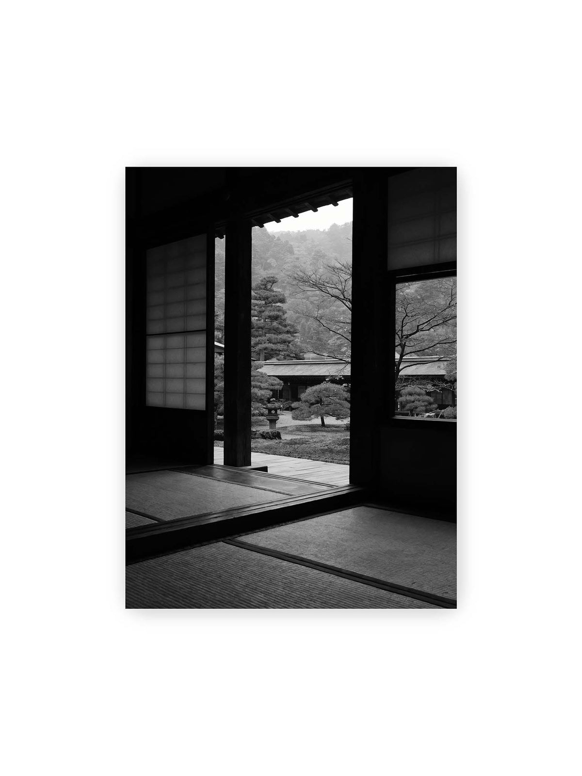 30x40 cm – Blick aus einem dunklen Tempel durch Holzrahmen und Schiebetüren auf einen japanischen Garten mit geformten Bäumen.