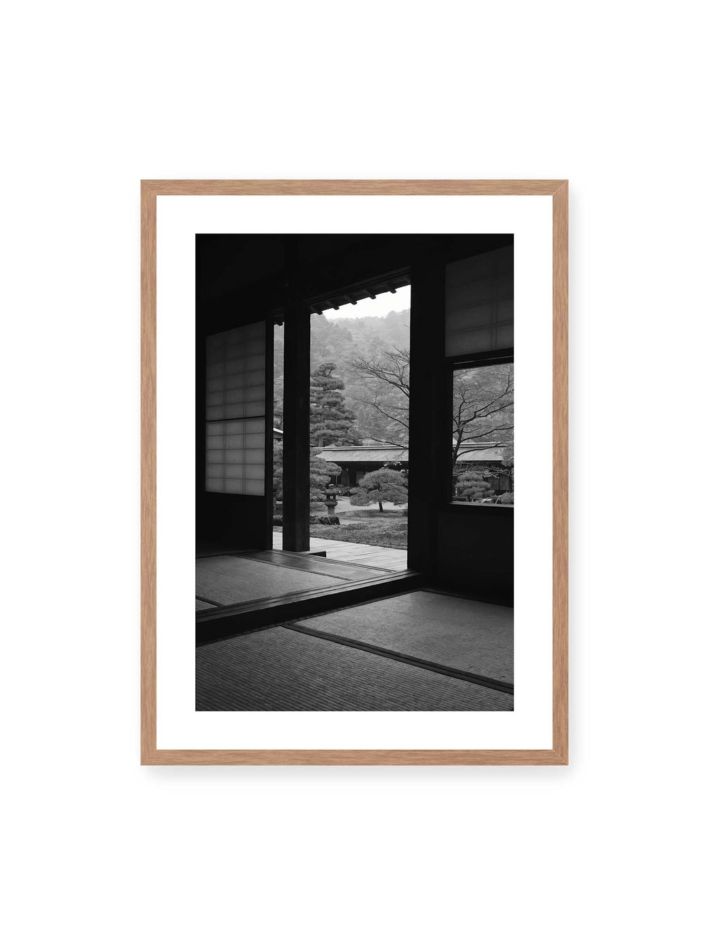 Framed in Stillness