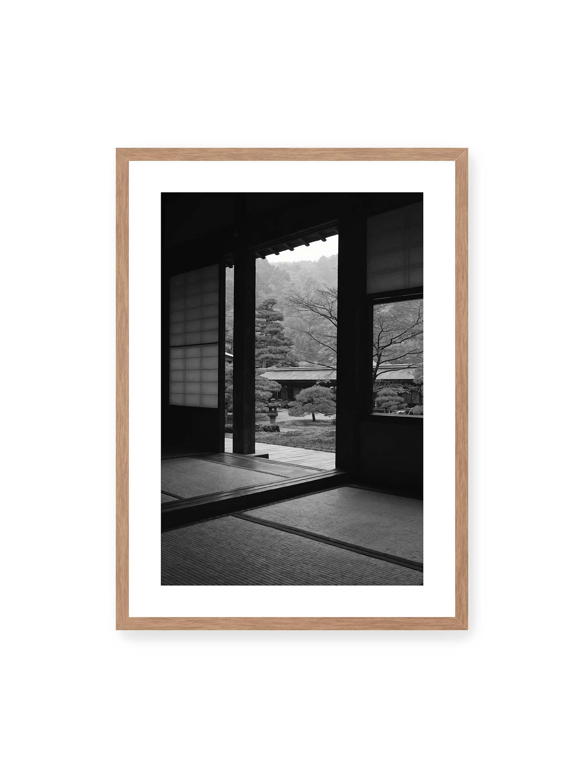 Framed in Stillness