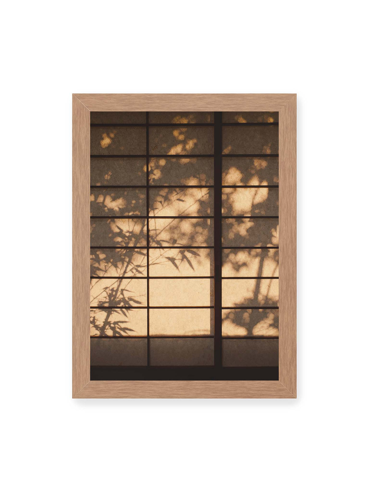 21x30 cm, Eichenrahmen – Blätter- und Zweigschatten auf warm beleuchteten Shoji-Flächen mit dunkler geometrischer Rasterung.