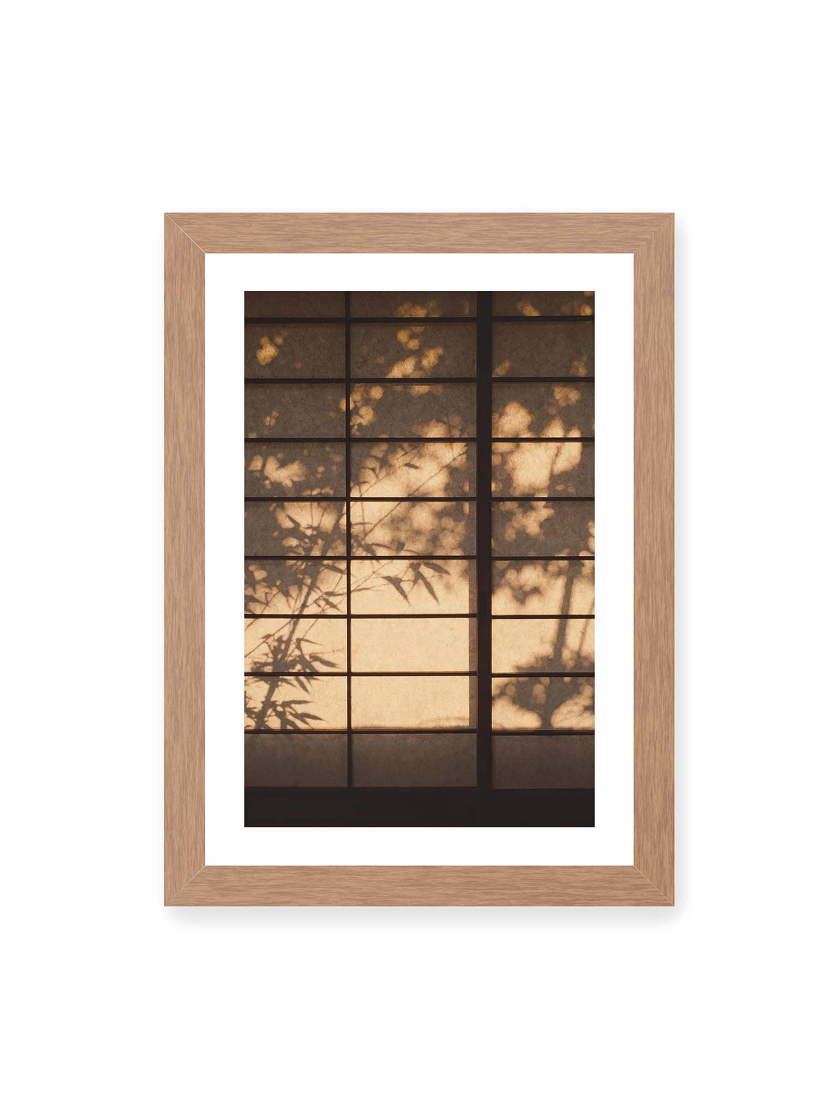 21x30 cm, weißer Galerie-Rand, Eichenrahmen – Blätter- und Zweigschatten auf warm beleuchteten Shoji-Flächen mit dunkler geometrischer Rasterung.