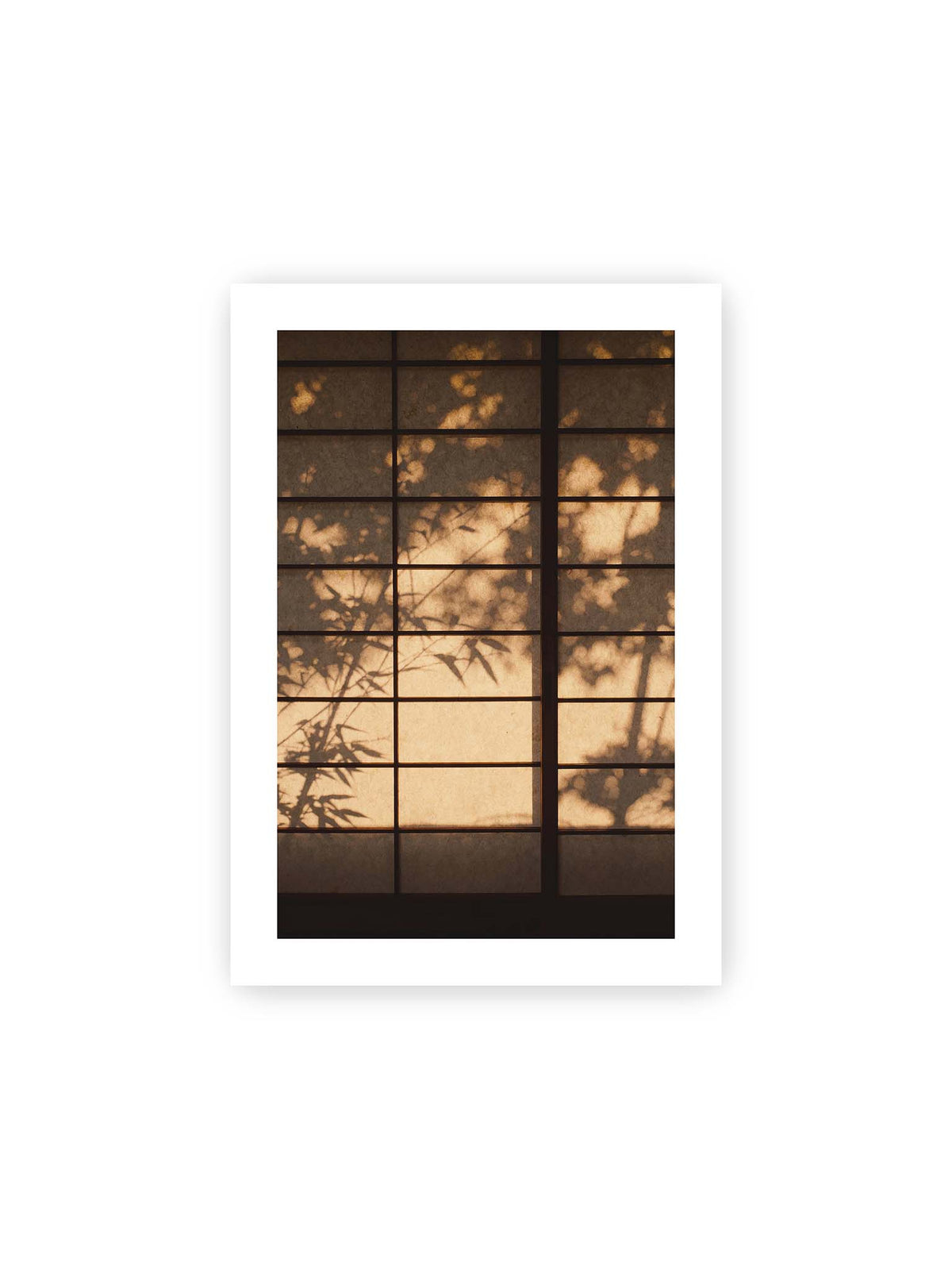 21x30 cm, weißer Galerie-Rand – Blätter- und Zweigschatten auf warm beleuchteten Shoji-Flächen mit dunkler geometrischer Rasterung.