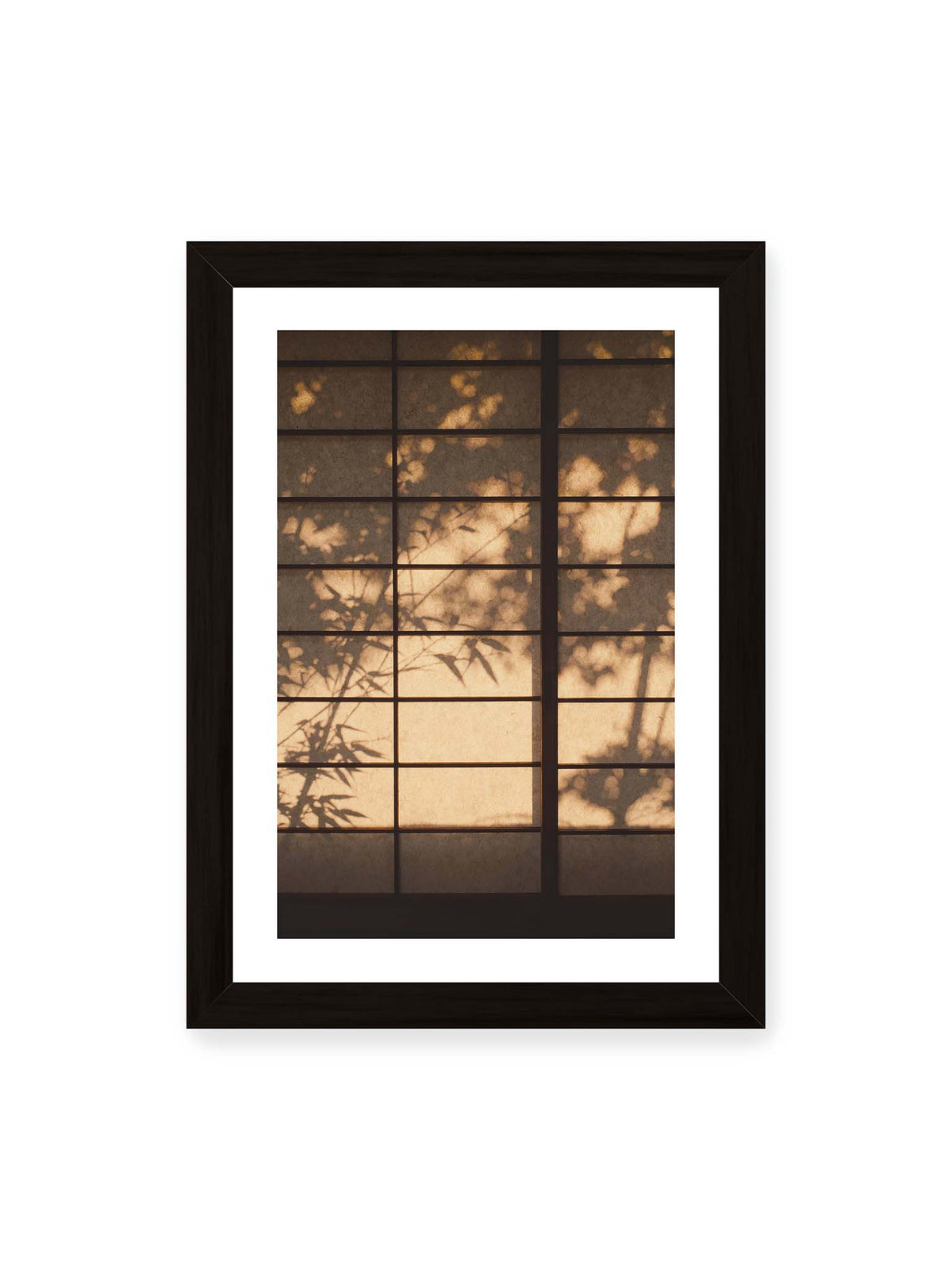 21x30 cm, weißer Galerie-Rand, schwarzer Rahmen – Blätter- und Zweigschatten auf warm beleuchteten Shoji-Flächen mit dunkler geometrischer Rasterung.