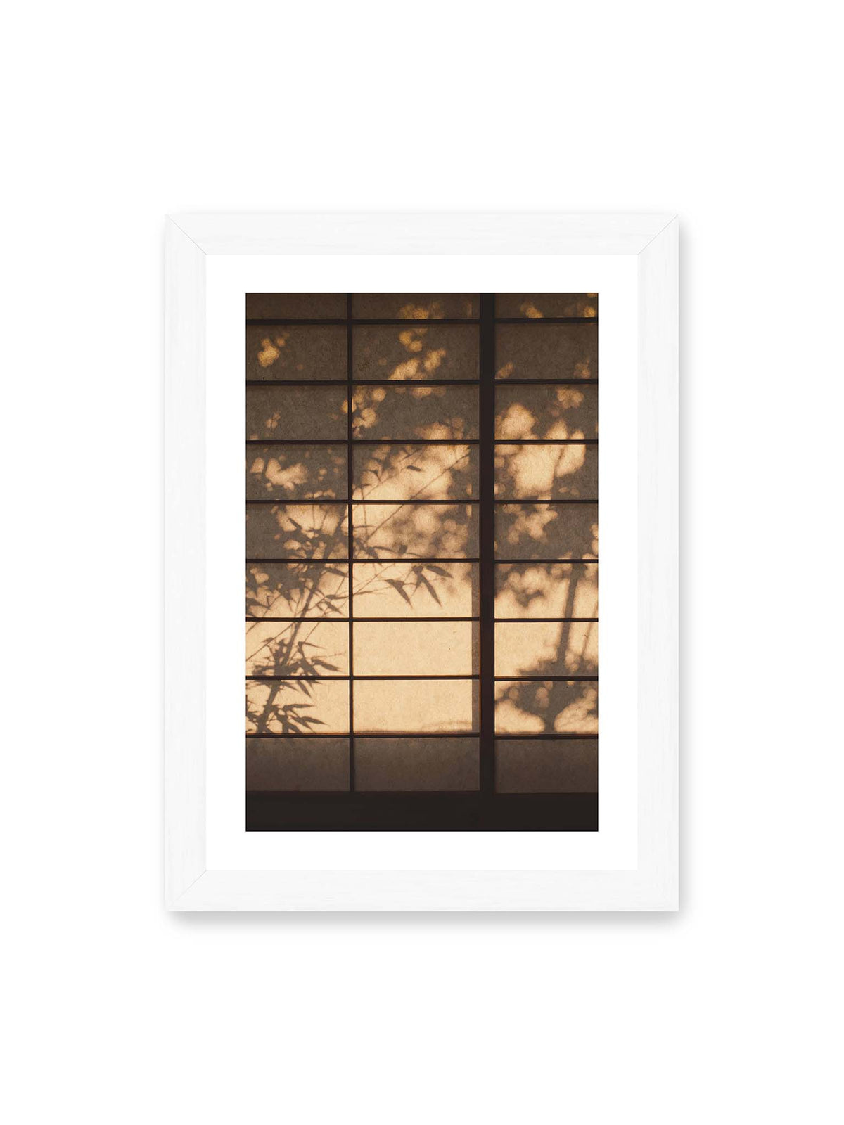 21x30 cm, weißer Galerie-Rand, weißer Rahmen – Blätter- und Zweigschatten auf warm beleuchteten Shoji-Flächen mit dunkler geometrischer Rasterung.