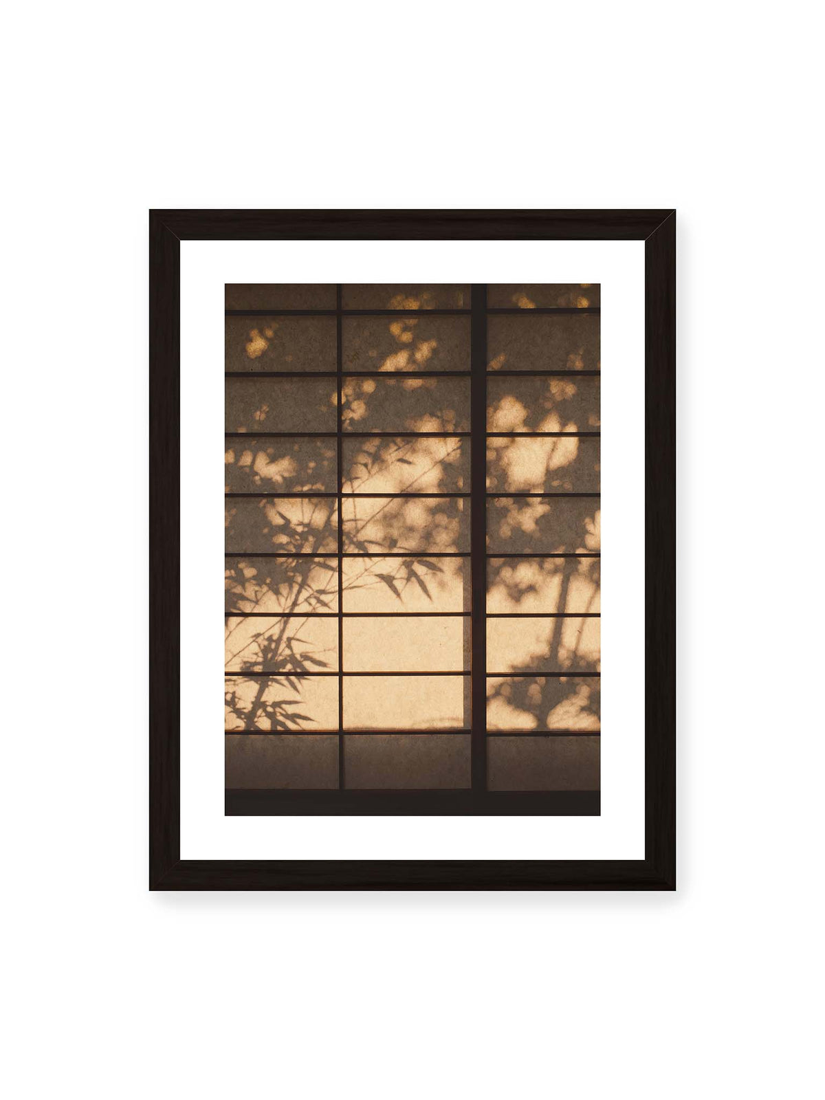 30x40 cm, weißer Galerie-Rand, schwarzer Rahmen – Blätter- und Zweigschatten auf warm beleuchteten Shoji-Flächen mit dunkler geometrischer Rasterung.