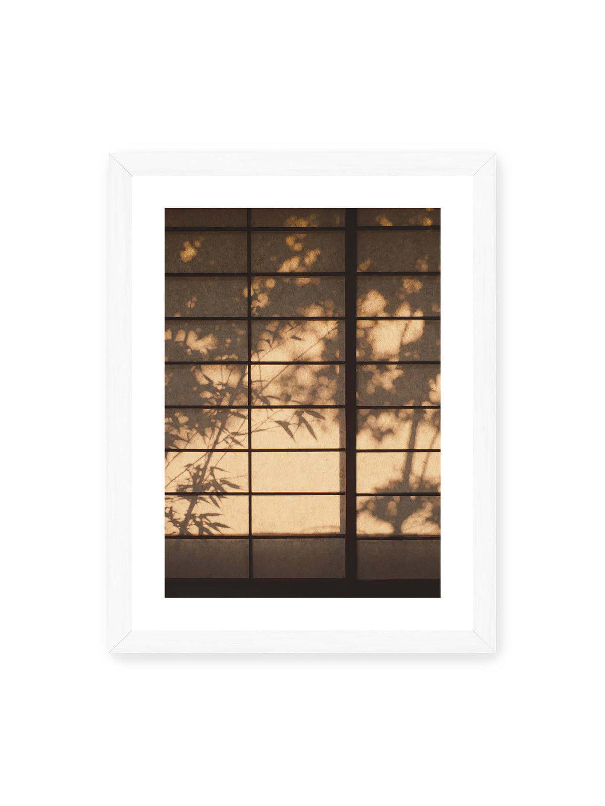 30x40 cm, weißer Galerie-Rand, weißer Rahmen – Blätter- und Zweigschatten auf warm beleuchteten Shoji-Flächen mit dunkler geometrischer Rasterung.