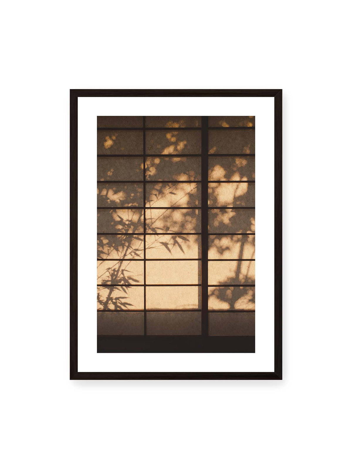 50x70 cm, weißer Galerie-Rand, schwarzer Rahmen – Blätter- und Zweigschatten auf warm beleuchteten Shoji-Flächen mit dunkler geometrischer Rasterung.