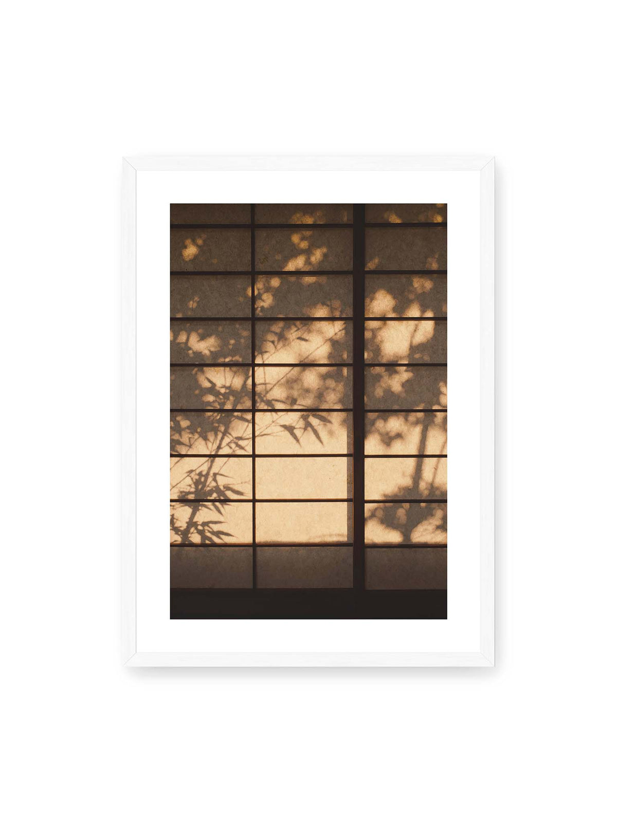 50x70 cm, weißer Galerie-Rand, weißer Rahmen – Blätter- und Zweigschatten auf warm beleuchteten Shoji-Flächen mit dunkler geometrischer Rasterung.
