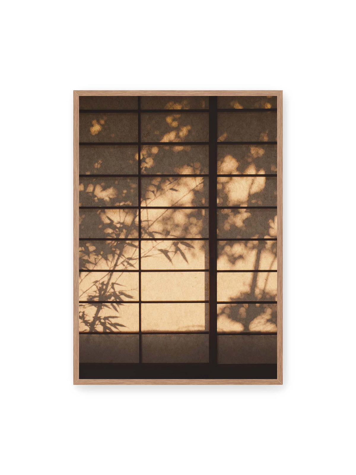 70x100 cm, Eichenrahmen – Blätter- und Zweigschatten auf warm beleuchteten Shoji-Flächen mit dunkler geometrischer Rasterung.