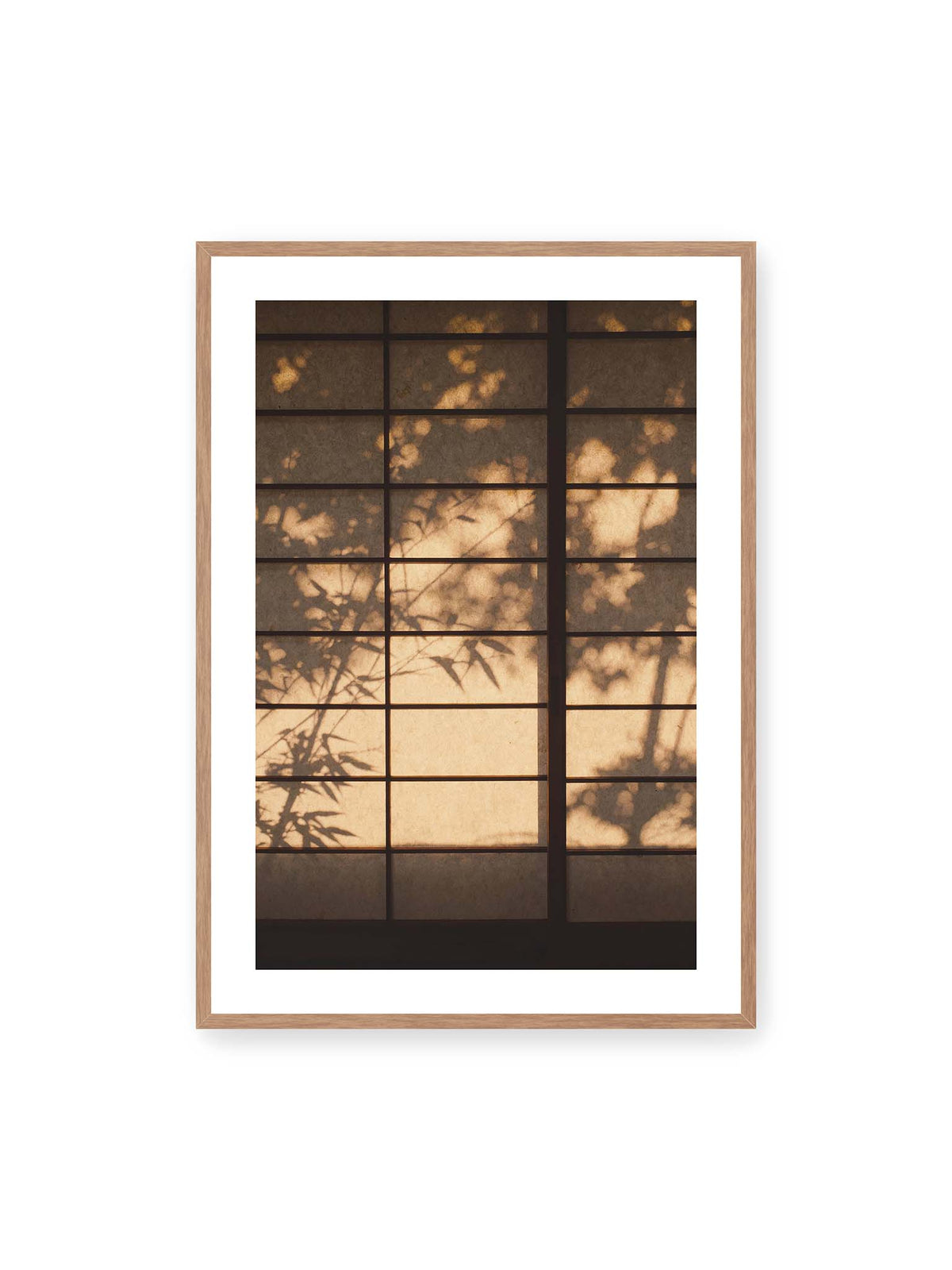 70x100 cm, weißer Galerie-Rand, Eichenrahmen – Blätter- und Zweigschatten auf warm beleuchteten Shoji-Flächen mit dunkler geometrischer Rasterung.