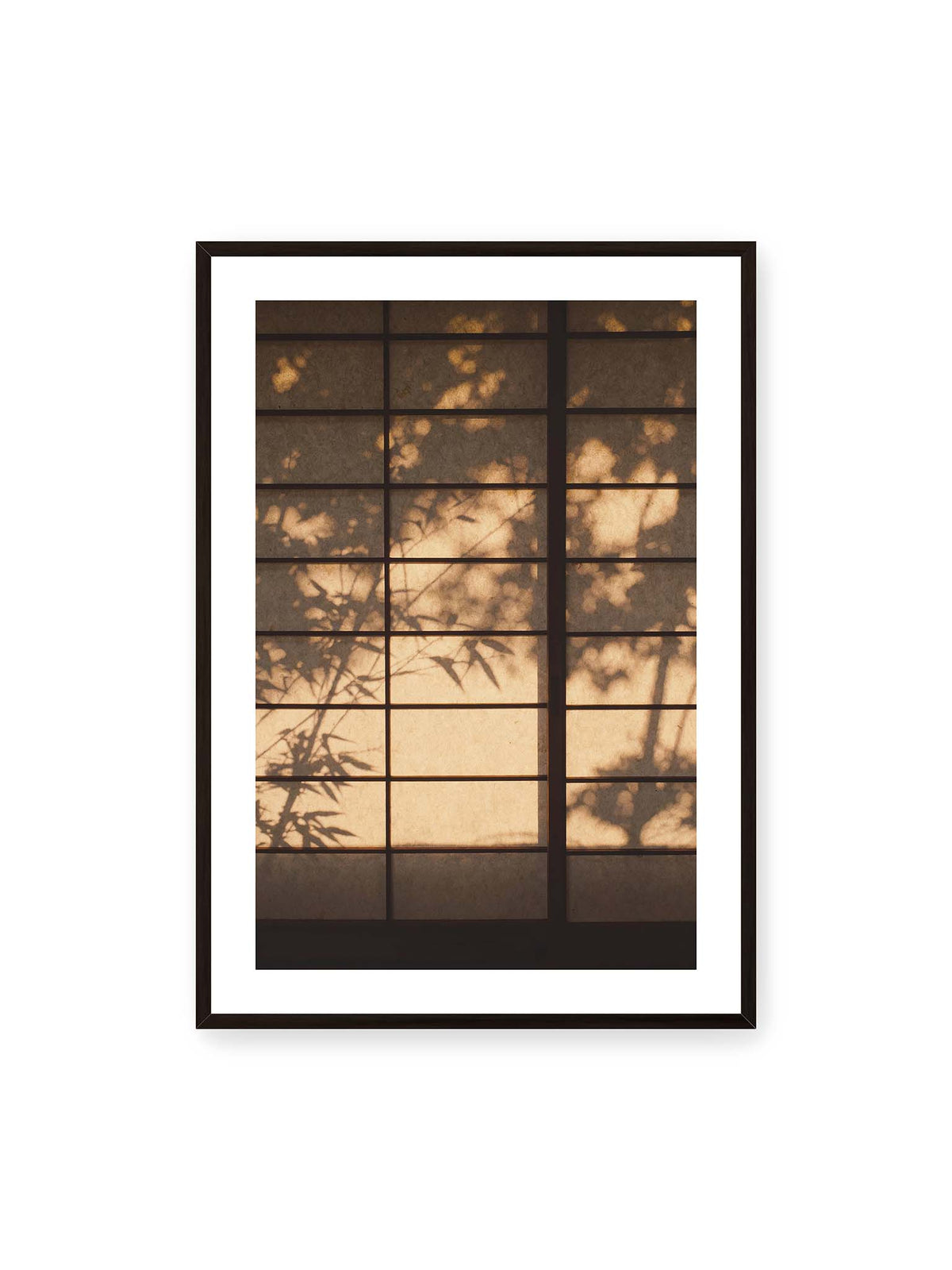 70x100 cm, weißer Galerie-Rand, schwarzer Rahmen – Blätter- und Zweigschatten auf warm beleuchteten Shoji-Flächen mit dunkler geometrischer Rasterung.
