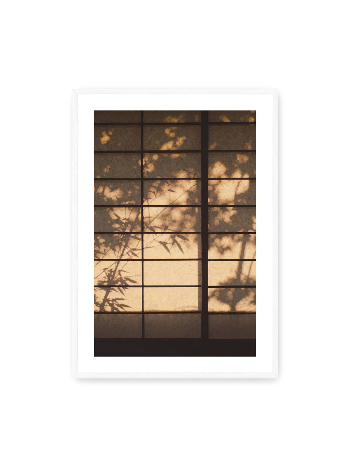 70x100 cm, weißer Galerie-Rand, weißer Rahmen – Blätter- und Zweigschatten auf warm beleuchteten Shoji-Flächen mit dunkler geometrischer Rasterung.