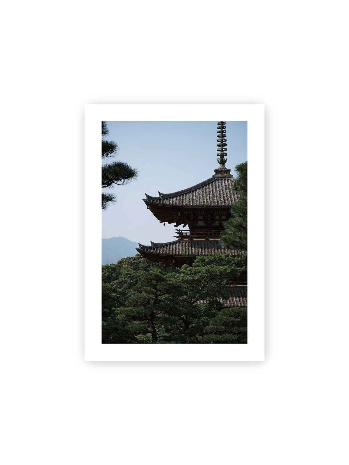 21x30 cm, weißer Galerie-Rand – Mehrstufige Pagode mit geschwungenen Ziegeldächern zwischen dichten Kiefern vor einer blassen Bergsilhouette.
