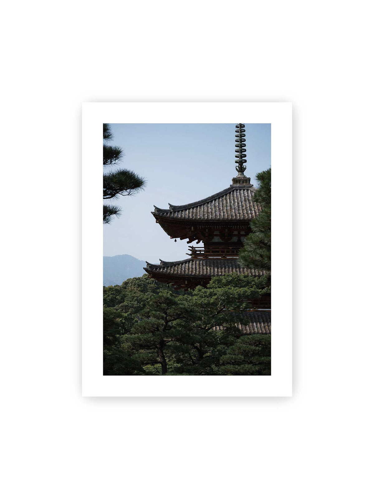 50x70 cm, weißer Galerie-Rand – Mehrstufige Pagode mit geschwungenen Ziegeldächern zwischen dichten Kiefern vor einer blassen Bergsilhouette.