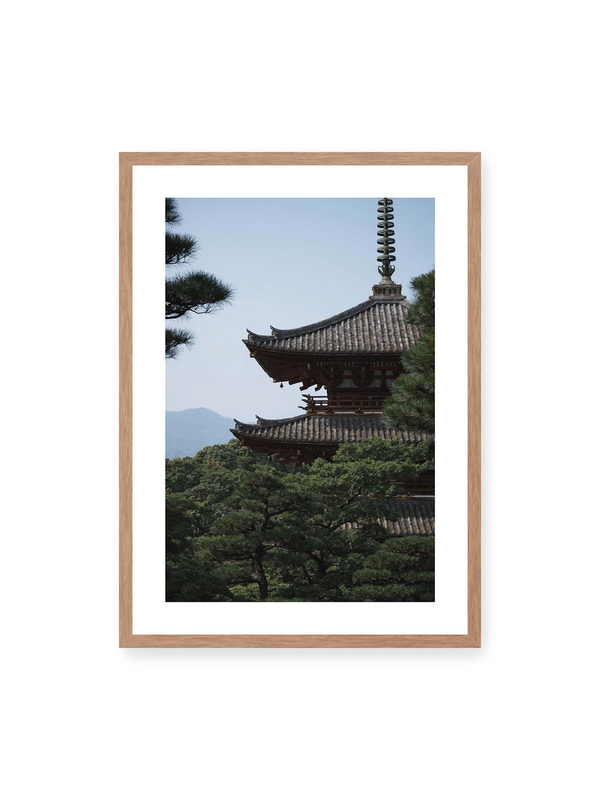 Kyoto Serenity