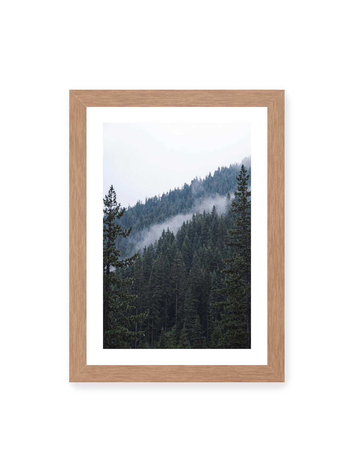 21x30 cm, weißer Galerie-Rand, Eichenrahmen – Dichter Nadelwald an einem Hang mit feinen Nebelschwaden zwischen den dunkelgrünen Baumkronen.