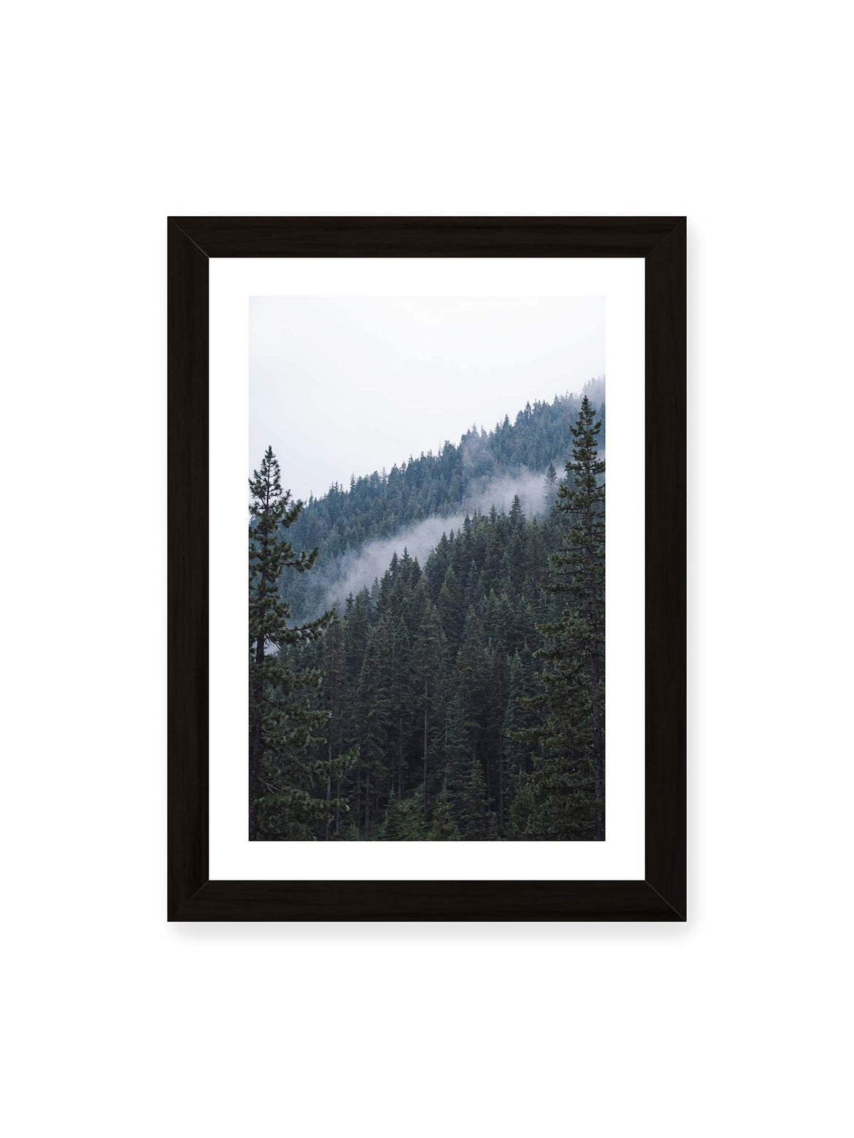 21x30 cm, weißer Galerie-Rand, schwarzer Rahmen – Dichter Nadelwald an einem Hang mit feinen Nebelschwaden zwischen den dunkelgrünen Baumkronen.