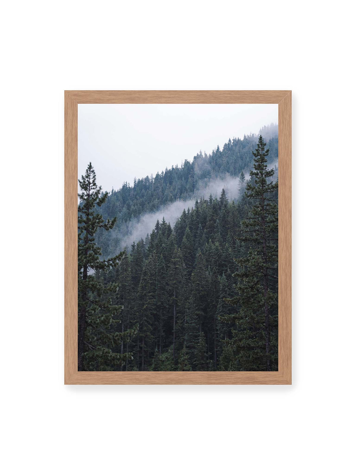30x40 cm, Eichenrahmen – Dichter Nadelwald an einem Hang mit feinen Nebelschwaden zwischen den dunkelgrünen Baumkronen.
