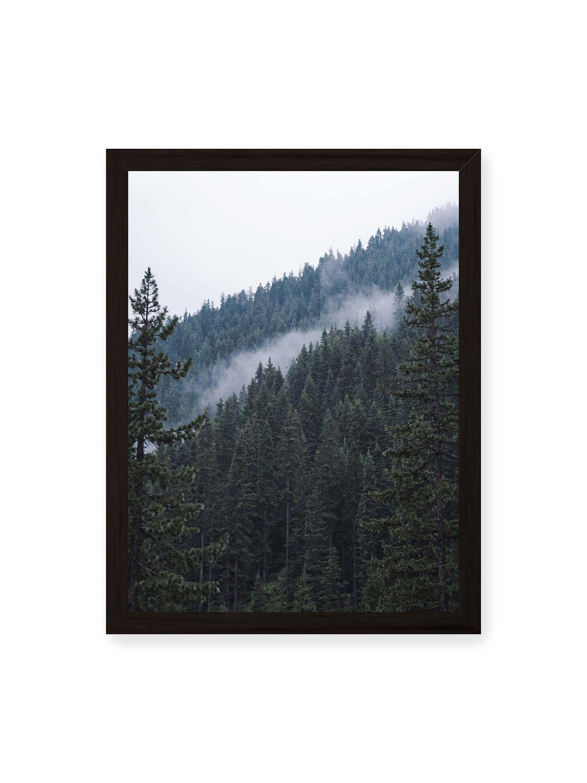 30x40 cm, schwarzer Rahmen – Dichter Nadelwald an einem Hang mit feinen Nebelschwaden zwischen den dunkelgrünen Baumkronen.