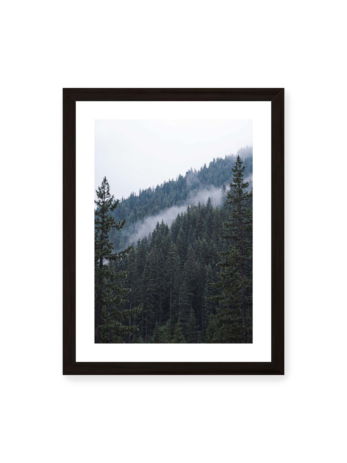 30x40 cm, weißer Galerie-Rand, schwarzer Rahmen – Dichter Nadelwald an einem Hang mit feinen Nebelschwaden zwischen den dunkelgrünen Baumkronen.