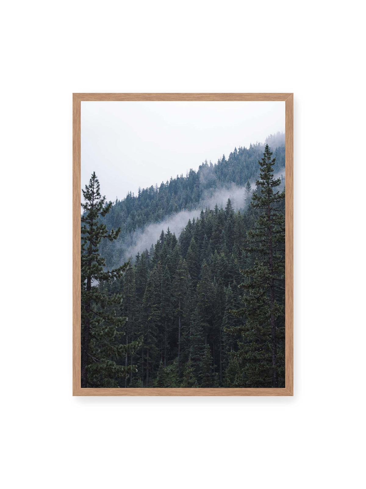 50x70 cm, Eichenrahmen – Dichter Nadelwald an einem Hang mit feinen Nebelschwaden zwischen den dunkelgrünen Baumkronen.
