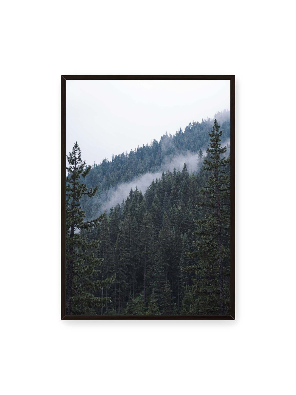 70x100 cm, schwarzer Rahmen – Dichter Nadelwald an einem Hang mit feinen Nebelschwaden zwischen den dunkelgrünen Baumkronen.
