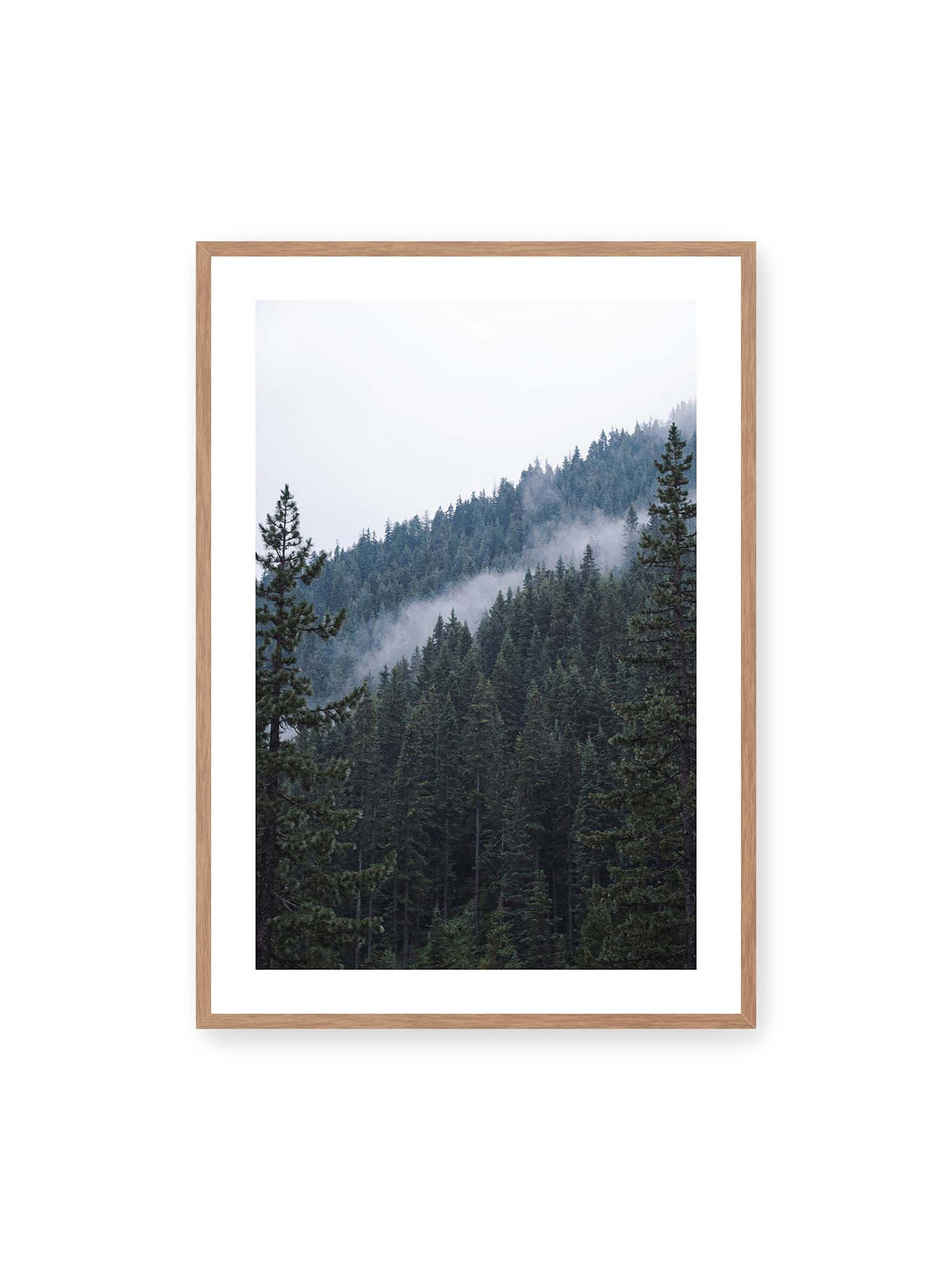 70x100 cm, weißer Galerie-Rand, Eichenrahmen – Dichter Nadelwald an einem Hang mit feinen Nebelschwaden zwischen den dunkelgrünen Baumkronen.