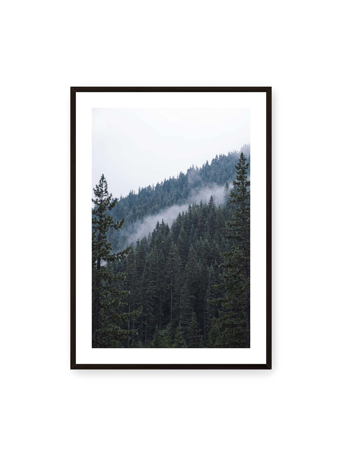 70x100 cm, weißer Galerie-Rand, schwarzer Rahmen – Dichter Nadelwald an einem Hang mit feinen Nebelschwaden zwischen den dunkelgrünen Baumkronen.
