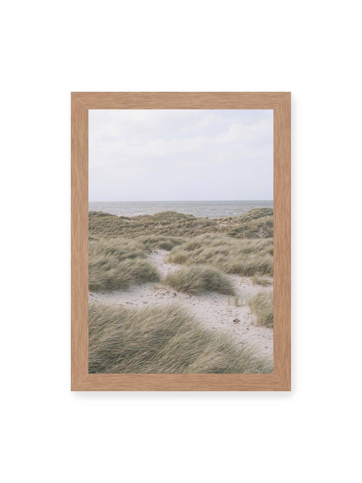 21x30 cm, Eichenrahmen – Helles Dünengras und sandige Pfade vor einem ruhigen Meer unter blassem, wolkigem Himmel.