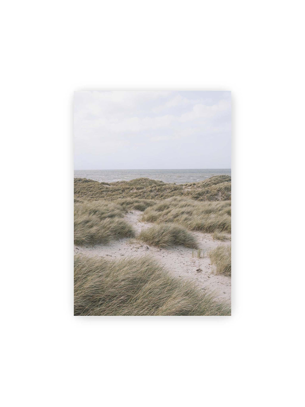 21x30 cm – Helles Dünengras und sandige Pfade vor einem ruhigen Meer unter blassem, wolkigem Himmel.