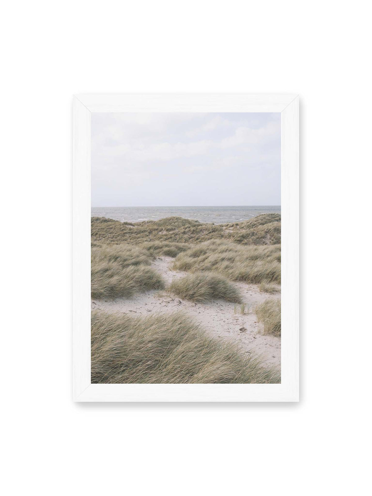 21x30 cm, weißer Rahmen – Helles Dünengras und sandige Pfade vor einem ruhigen Meer unter blassem, wolkigem Himmel.