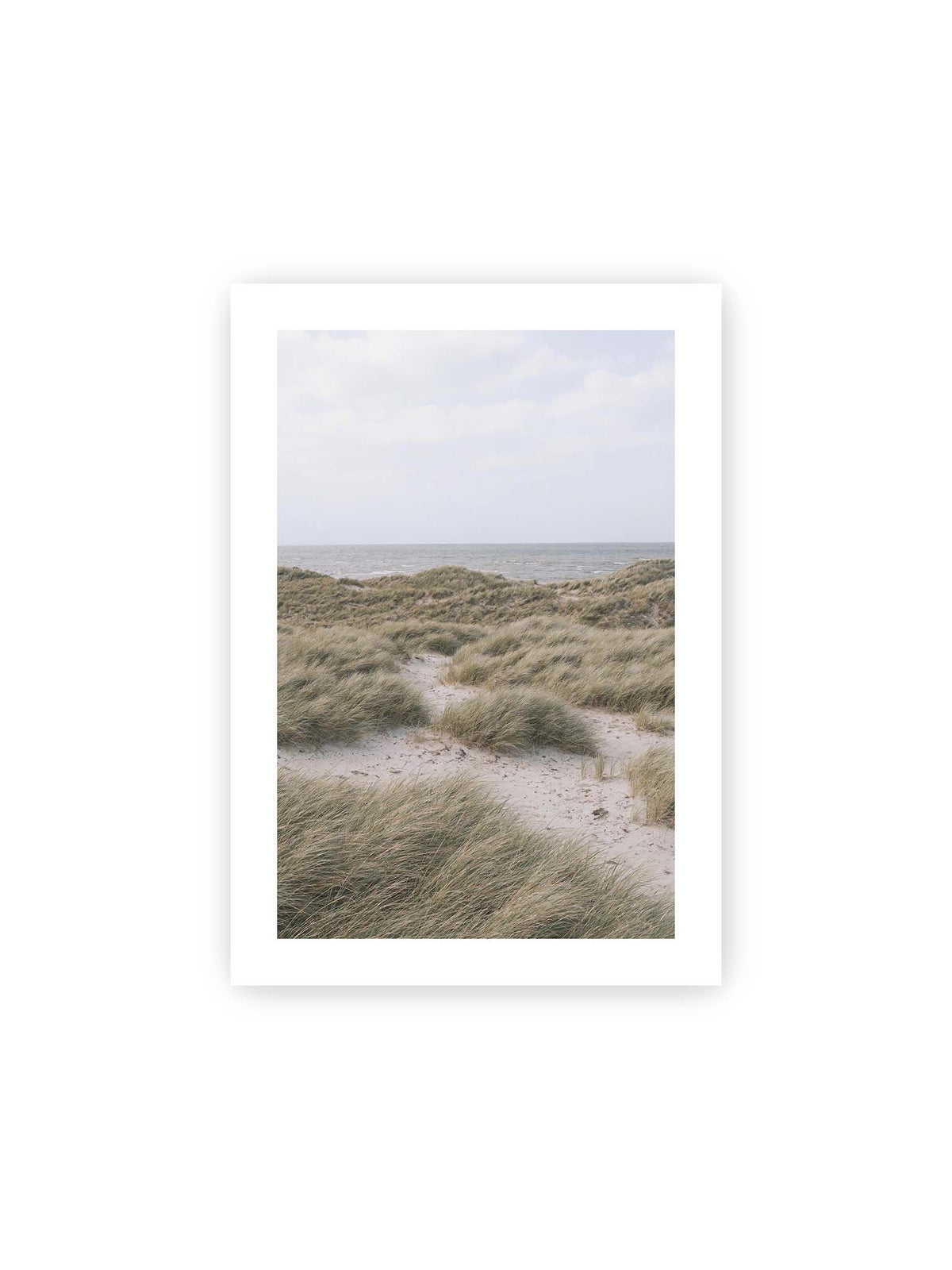 21x30 cm, weißer Galerie-Rand – Helles Dünengras und sandige Pfade vor einem ruhigen Meer unter blassem, wolkigem Himmel.