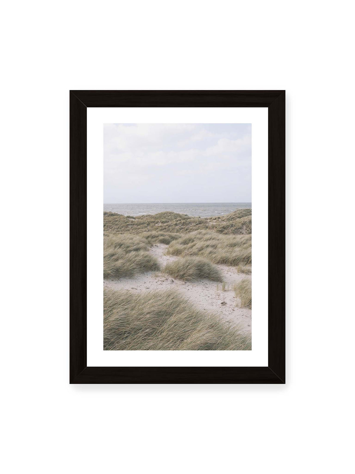 21x30 cm, weißer Galerie-Rand, schwarzer Rahmen – Helles Dünengras und sandige Pfade vor einem ruhigen Meer unter blassem, wolkigem Himmel.