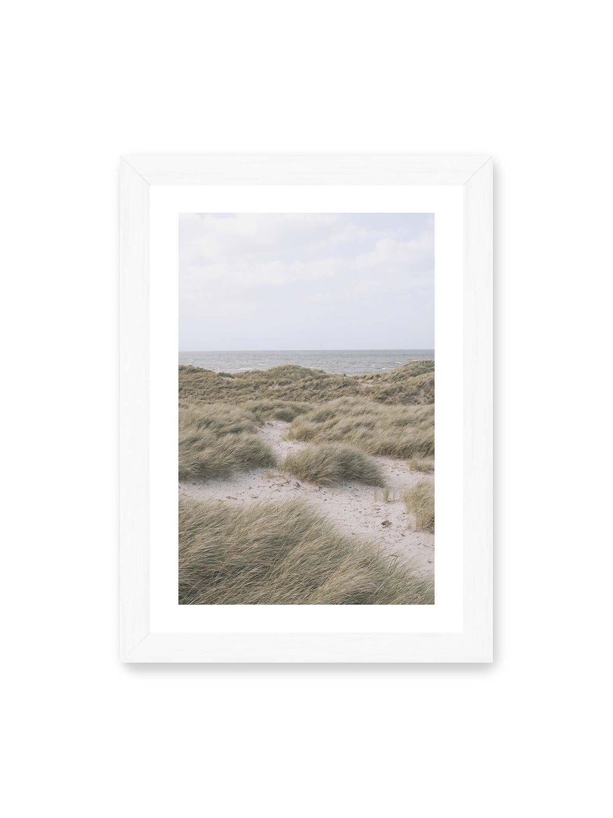 21x30 cm, weißer Galerie-Rand, weißer Rahmen – Helles Dünengras und sandige Pfade vor einem ruhigen Meer unter blassem, wolkigem Himmel.