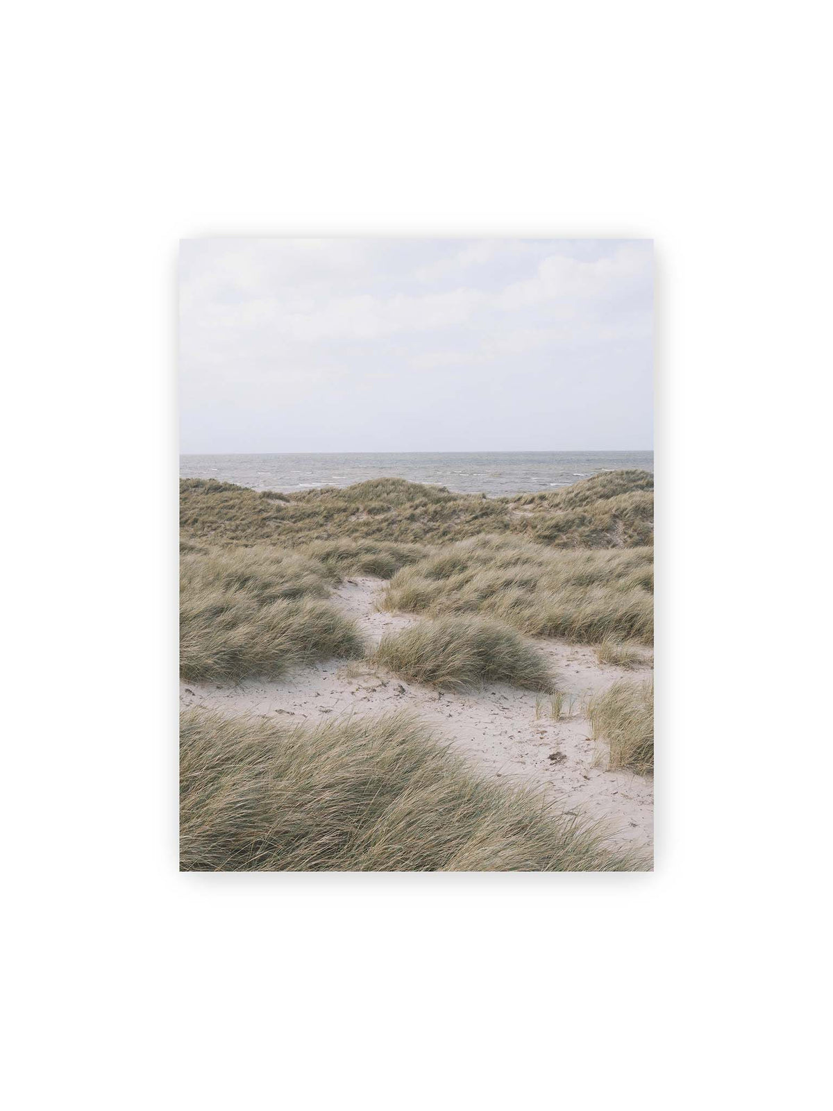 30x40 cm – Helles Dünengras und sandige Pfade vor einem ruhigen Meer unter blassem, wolkigem Himmel.