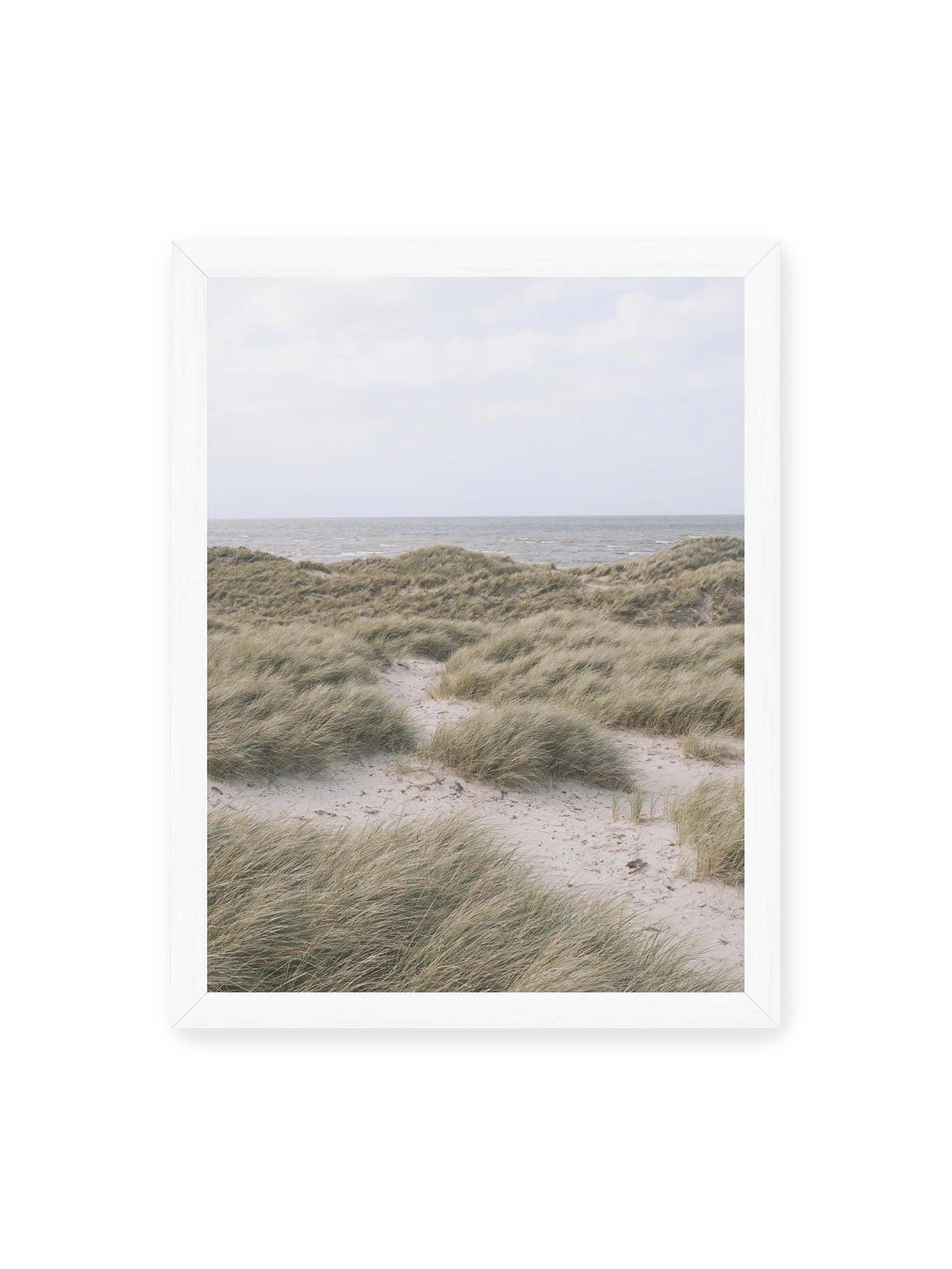 30x40 cm, weißer Rahmen – Helles Dünengras und sandige Pfade vor einem ruhigen Meer unter blassem, wolkigem Himmel.