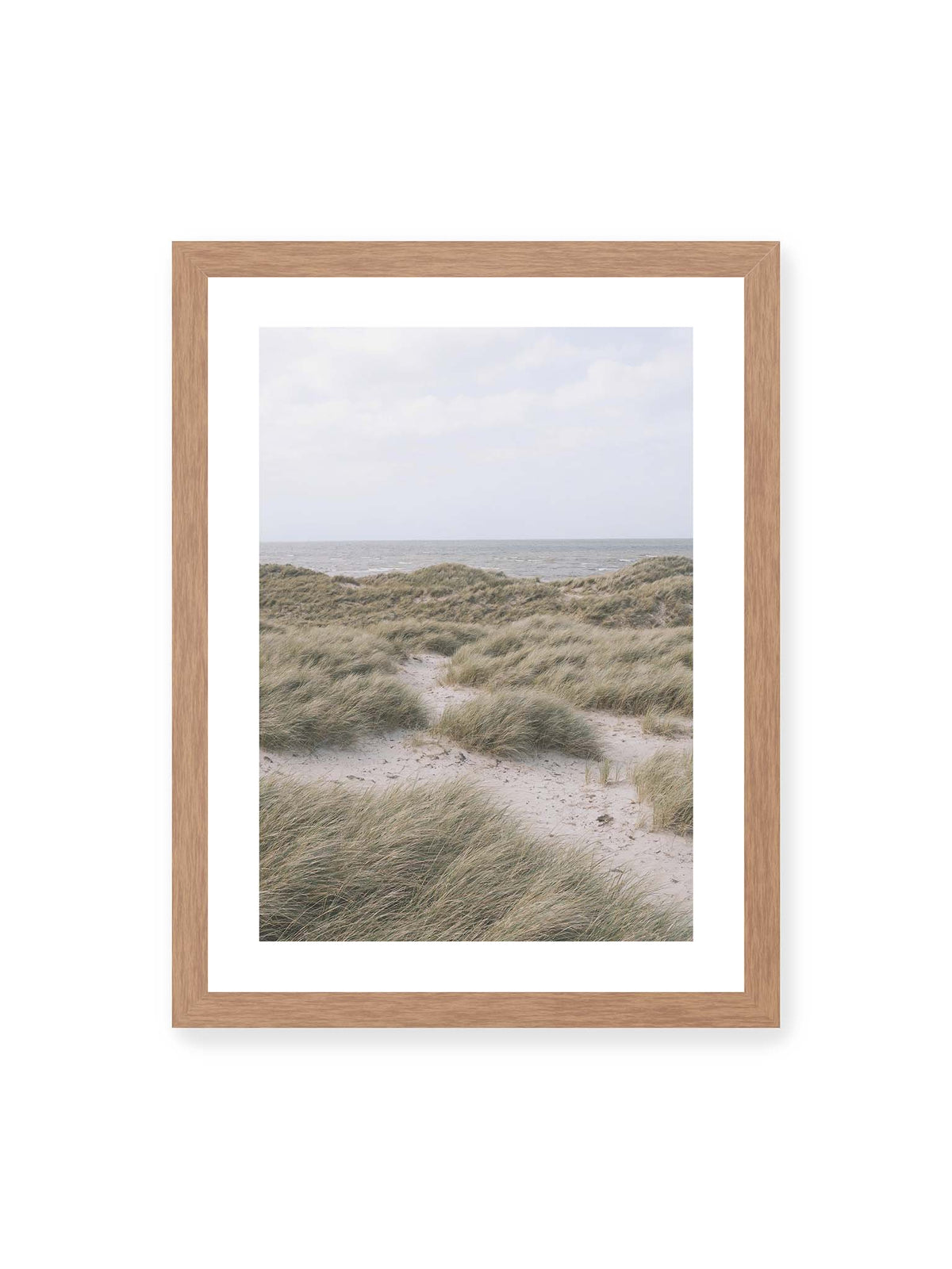 30x40 cm, weißer Galerie-Rand, Eichenrahmen – Helles Dünengras und sandige Pfade vor einem ruhigen Meer unter blassem, wolkigem Himmel.