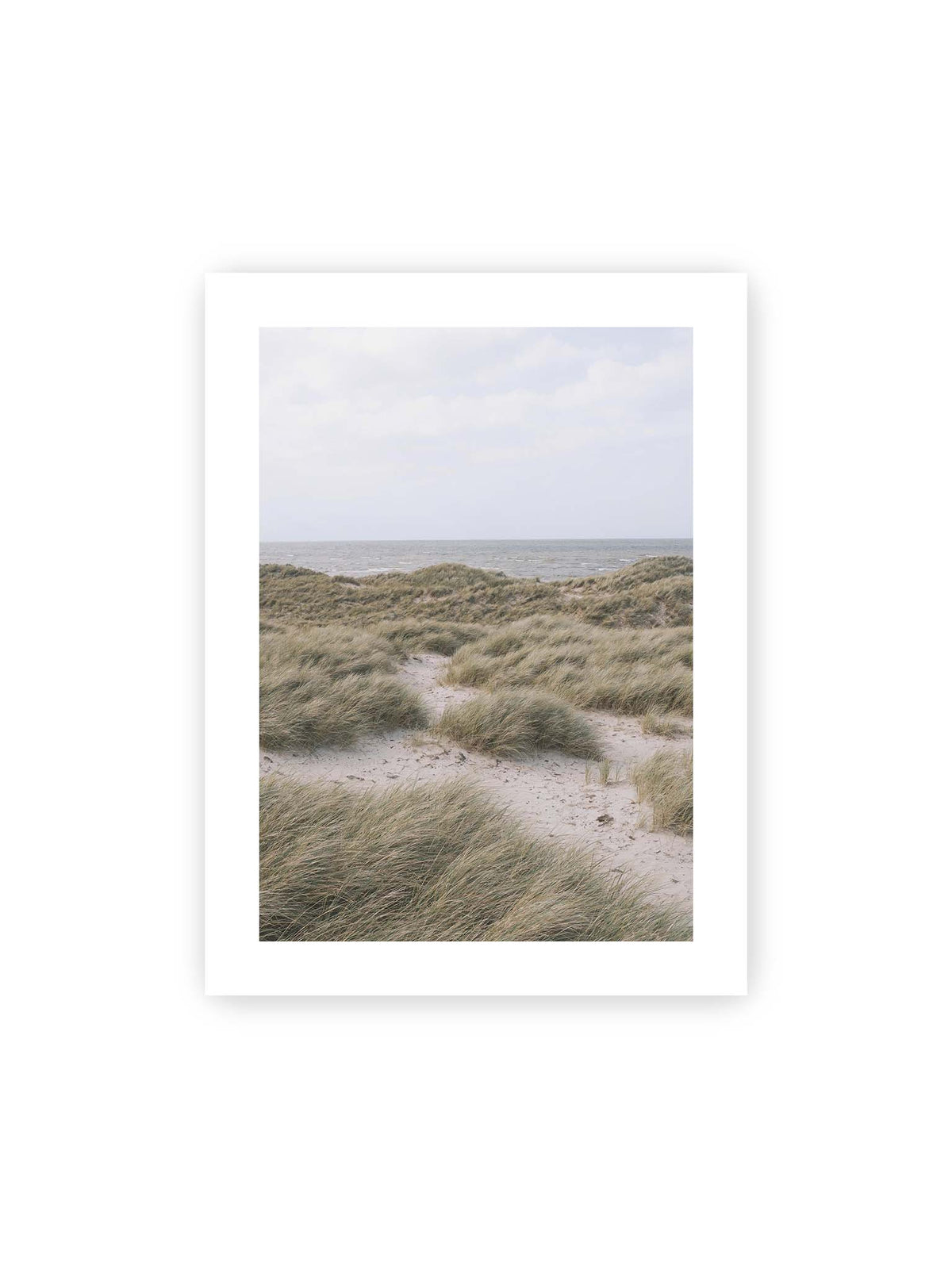 30x40 cm, weißer Galerie-Rand – Helles Dünengras und sandige Pfade vor einem ruhigen Meer unter blassem, wolkigem Himmel.