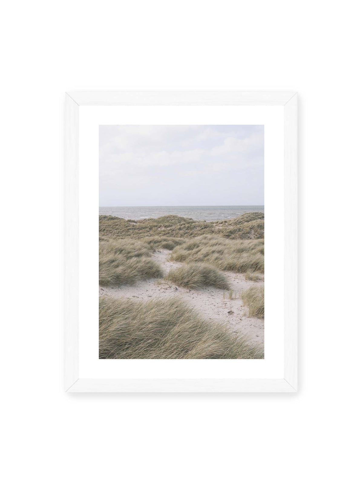 30x40 cm, weißer Galerie-Rand, weißer Rahmen – Helles Dünengras und sandige Pfade vor einem ruhigen Meer unter blassem, wolkigem Himmel.