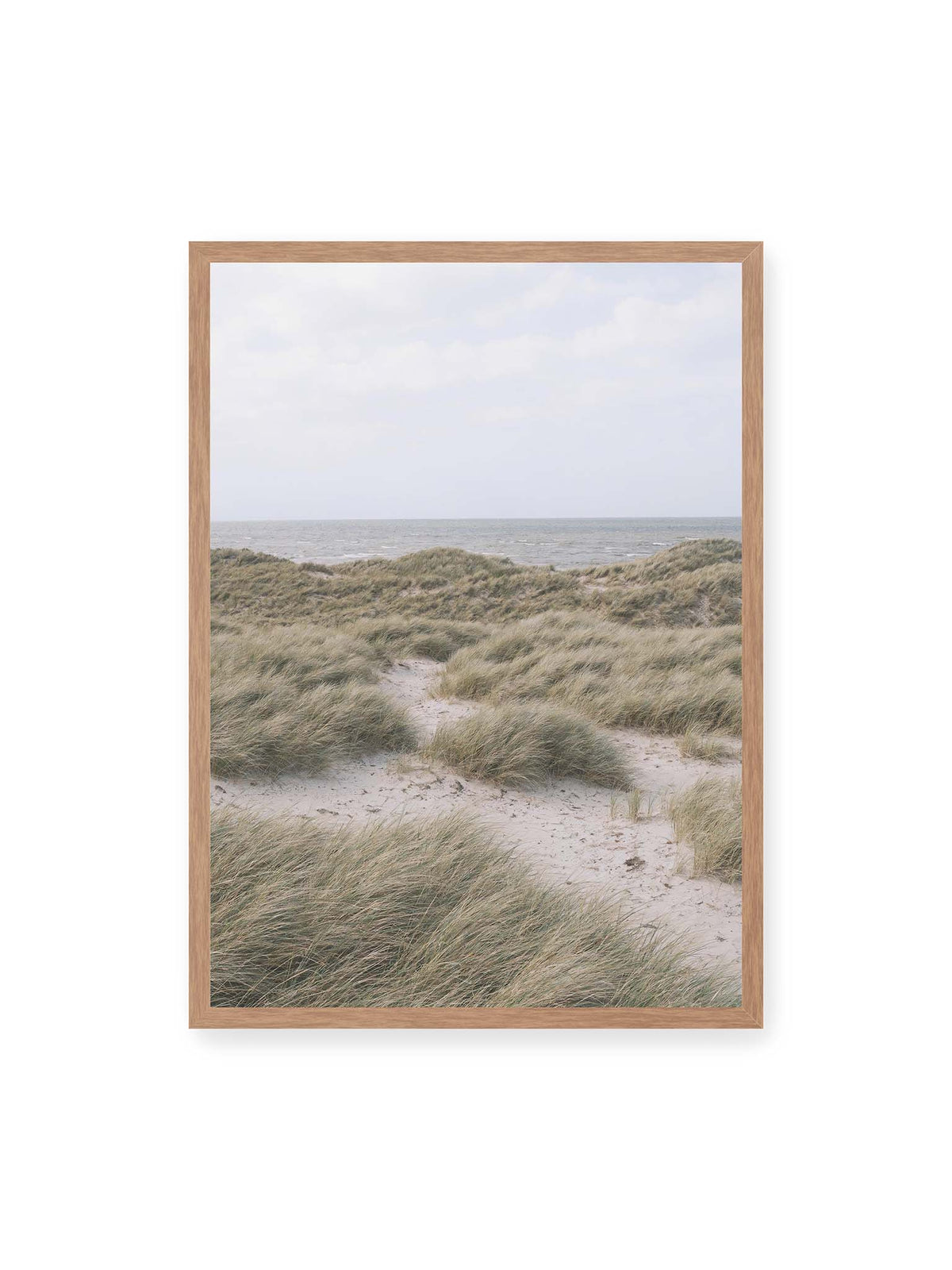 50x70 cm, Eichenrahmen – Helles Dünengras und sandige Pfade vor einem ruhigen Meer unter blassem, wolkigem Himmel.
