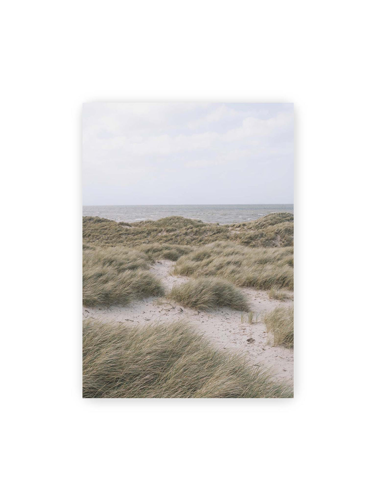 50x70 cm – Helles Dünengras und sandige Pfade vor einem ruhigen Meer unter blassem, wolkigem Himmel.