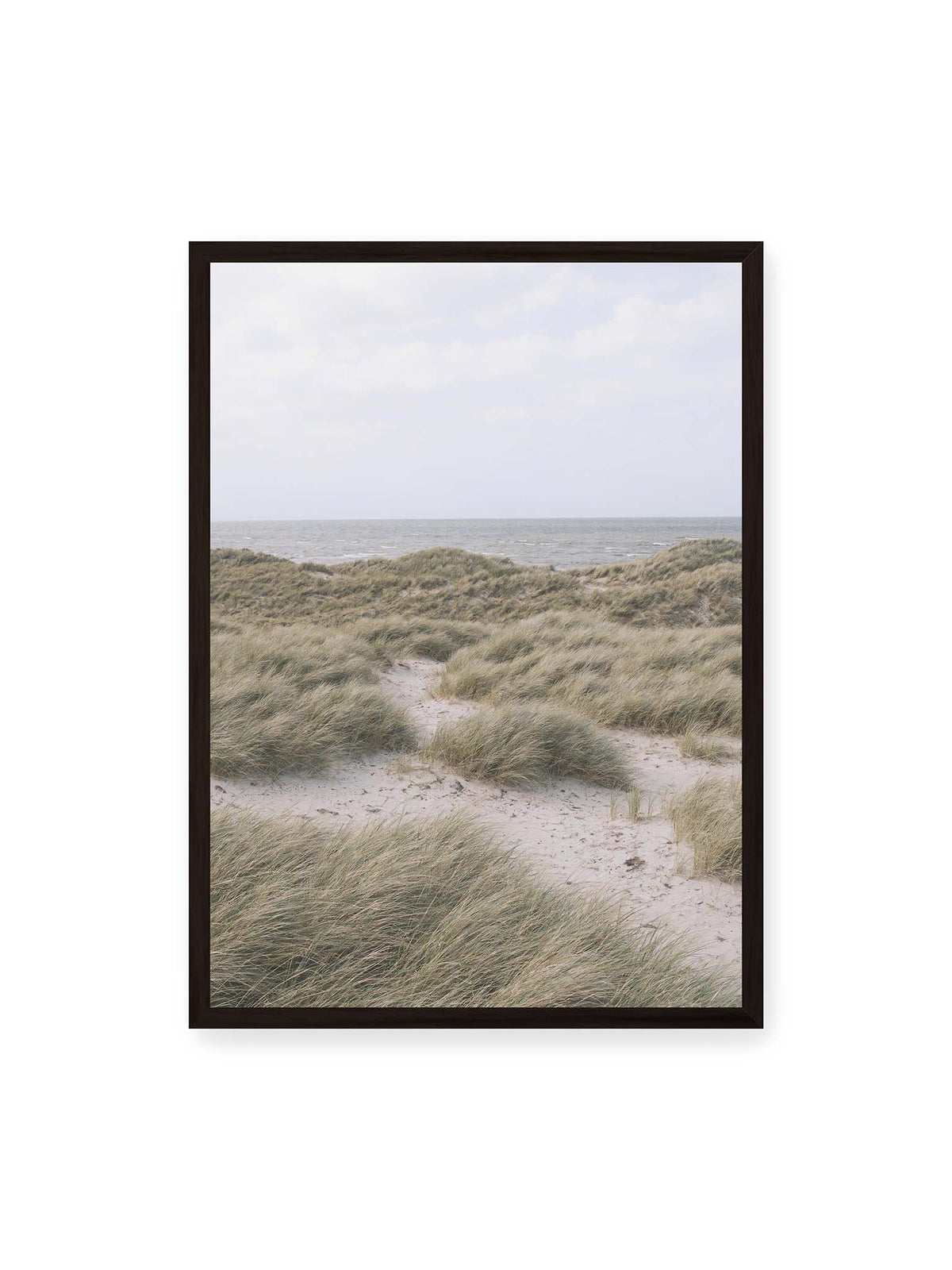 50x70 cm, schwarzer Rahmen – Helles Dünengras und sandige Pfade vor einem ruhigen Meer unter blassem, wolkigem Himmel.