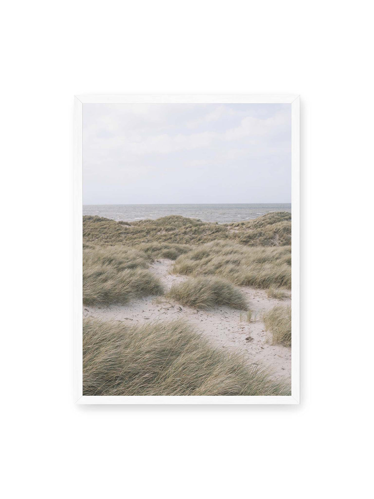 50x70 cm, weißer Rahmen – Helles Dünengras und sandige Pfade vor einem ruhigen Meer unter blassem, wolkigem Himmel.