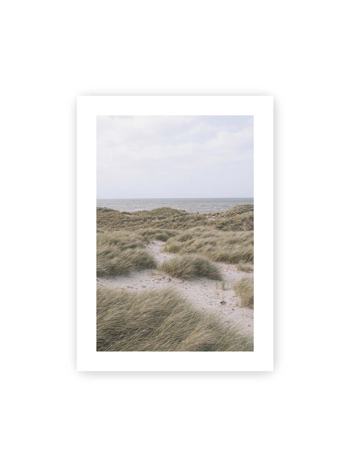 50x70 cm, weißer Galerie-Rand – Helles Dünengras und sandige Pfade vor einem ruhigen Meer unter blassem, wolkigem Himmel.