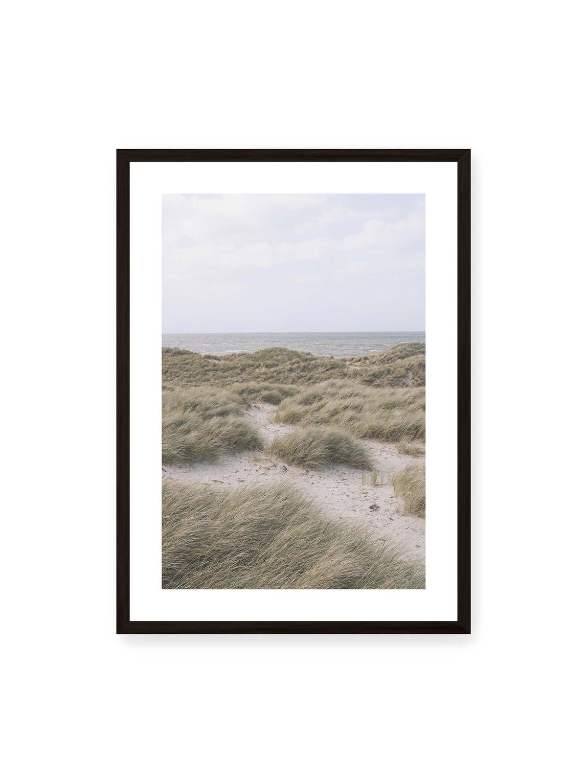 50x70 cm, weißer Galerie-Rand, schwarzer Rahmen – Helles Dünengras und sandige Pfade vor einem ruhigen Meer unter blassem, wolkigem Himmel.